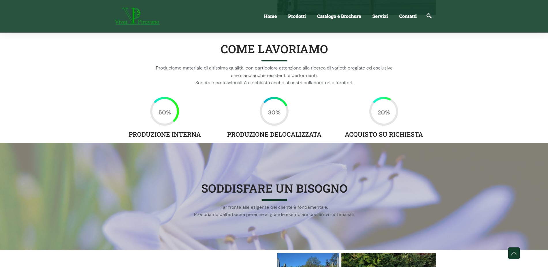 Vivai Pirovano
